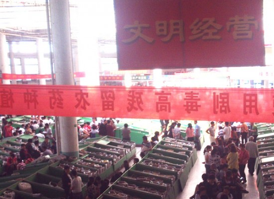 公司環(huán)境